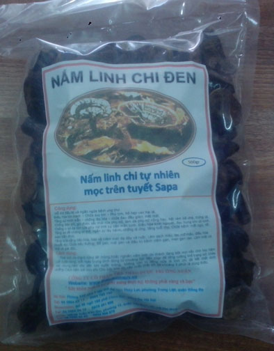 nấm-linh-chi-tuyết